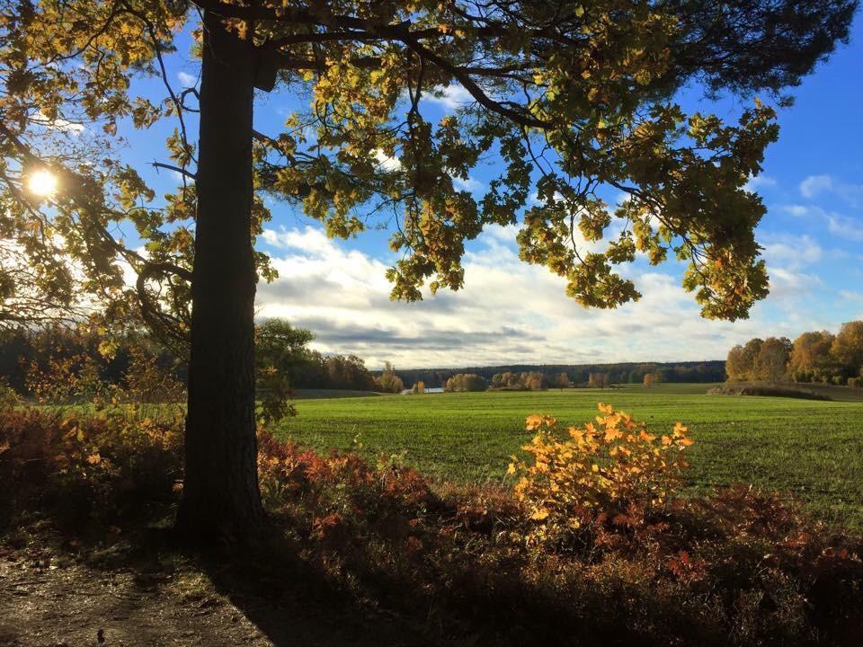 Stora Djuloe Vandrarhem Katrineholm Zewnętrze zdjęcie